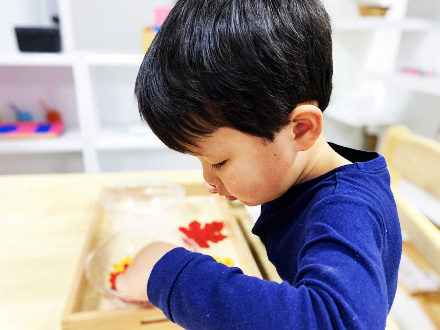 Montessori Early Learning Centre